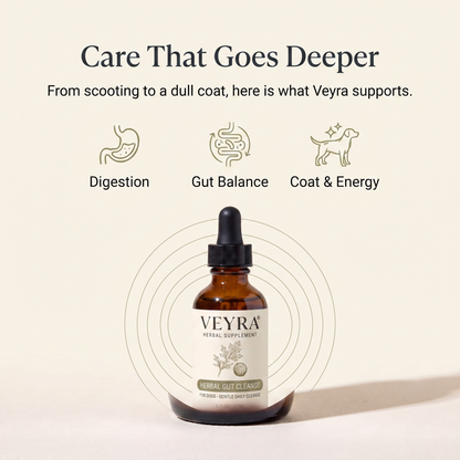 Veyra® Herbal Gut Cleanse for Dogs